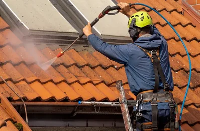 Démoussage et hydrofuge de toiture à Hermenault